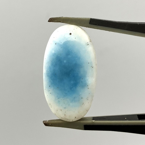 �֥롼�������������ĥ롼��(����ɥͥ�����)�����ܥ���󡦥����Х�25������4.2g��1��ʪ