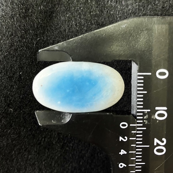 �֥롼�������������ĥ롼��(����ɥͥ�����)�����ܥ���󡦥����Х�25������4.2g��1��ʪ