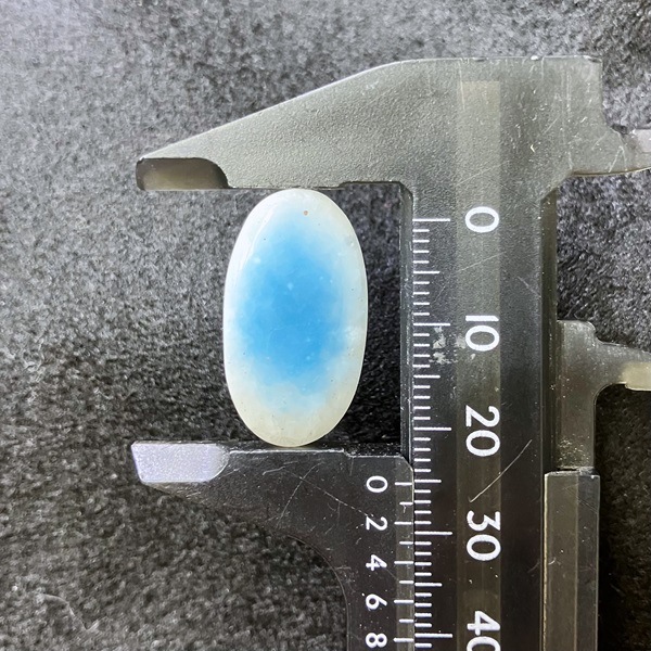 �֥롼�������������ĥ롼��(����ɥͥ�����)�����ܥ���󡦥����Х�25������4.2g��1��ʪ