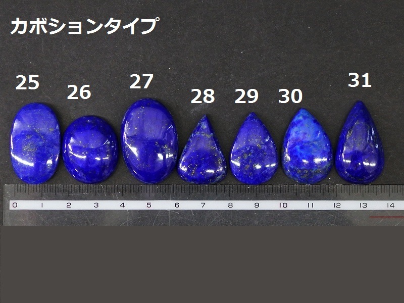 ��ԥ��饺�ꡡ21-31��ŷ���Х롼�������쥯��