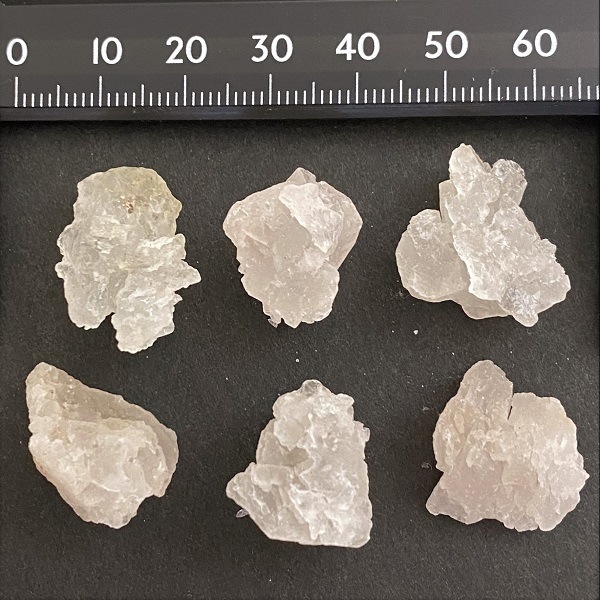 �����ò����ۥҥޥ�䥢�������ꥹ���롡���С�1����ꡡ��������
