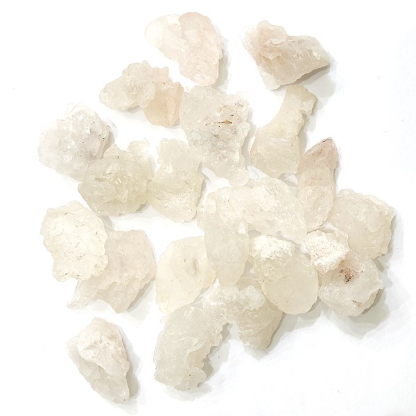 �����ò����ۥҥޥ�䥢�������ꥹ���롡���С�1����ꡡ��������