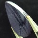 ֥롼饤ȥ롼19.00ct1ʪ