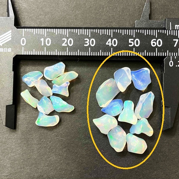 �����ò����ۥ��ѡ��롡�ե꡼���å��᤭�極������ŷ���С�����֥롡1γ���