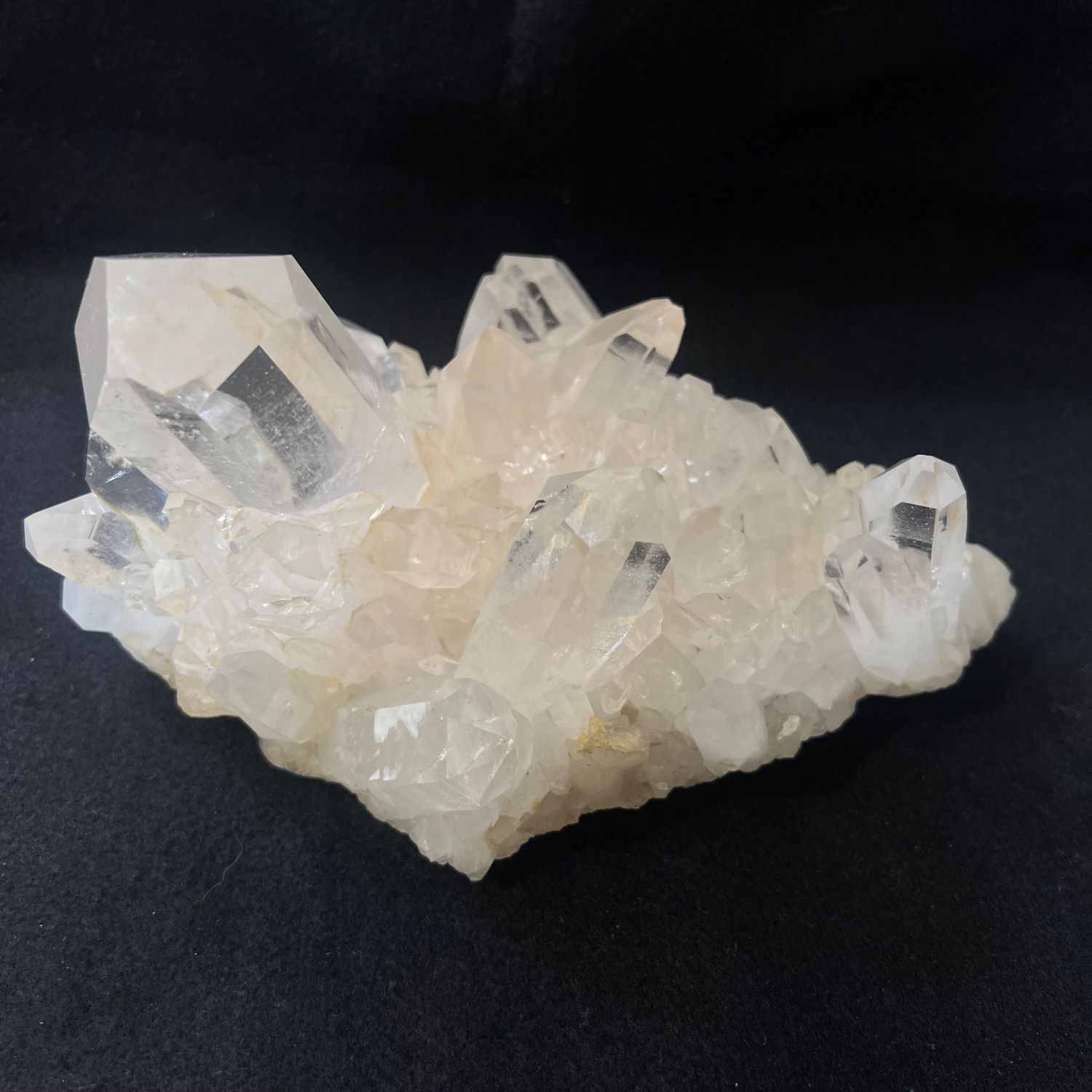 �������󥽡����徽���饹��������1822�硡ŹƬƱ������