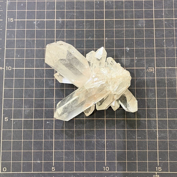 �ޥ˥���󻺿徽���饹��������164�硡