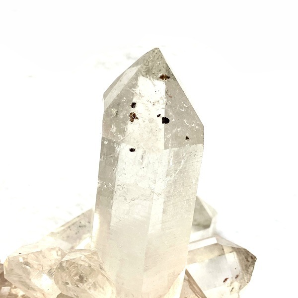 �ޥ˥���󻺿徽���饹��������164�硡