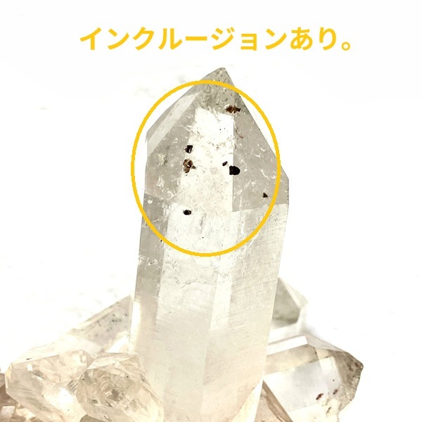 �ޥ˥���󻺿徽���饹��������164�硡