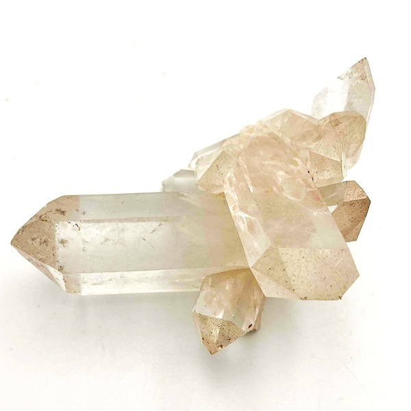 �ޥ˥���󻺿徽���饹��������164�硡