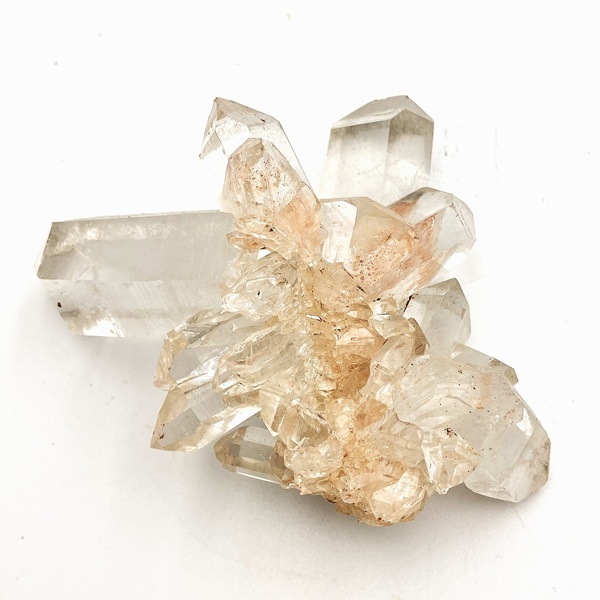 �ޥ˥���󻺿徽���饹��������164�硡