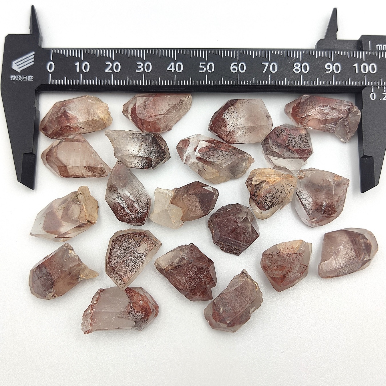 �ڻĤ�鷺�����ۥ���ӥ�����åɥե���ȥ९�����ġ���ˡڥ쥢���͵��Τ���2���������ꡪ�ۡ����С�1�����