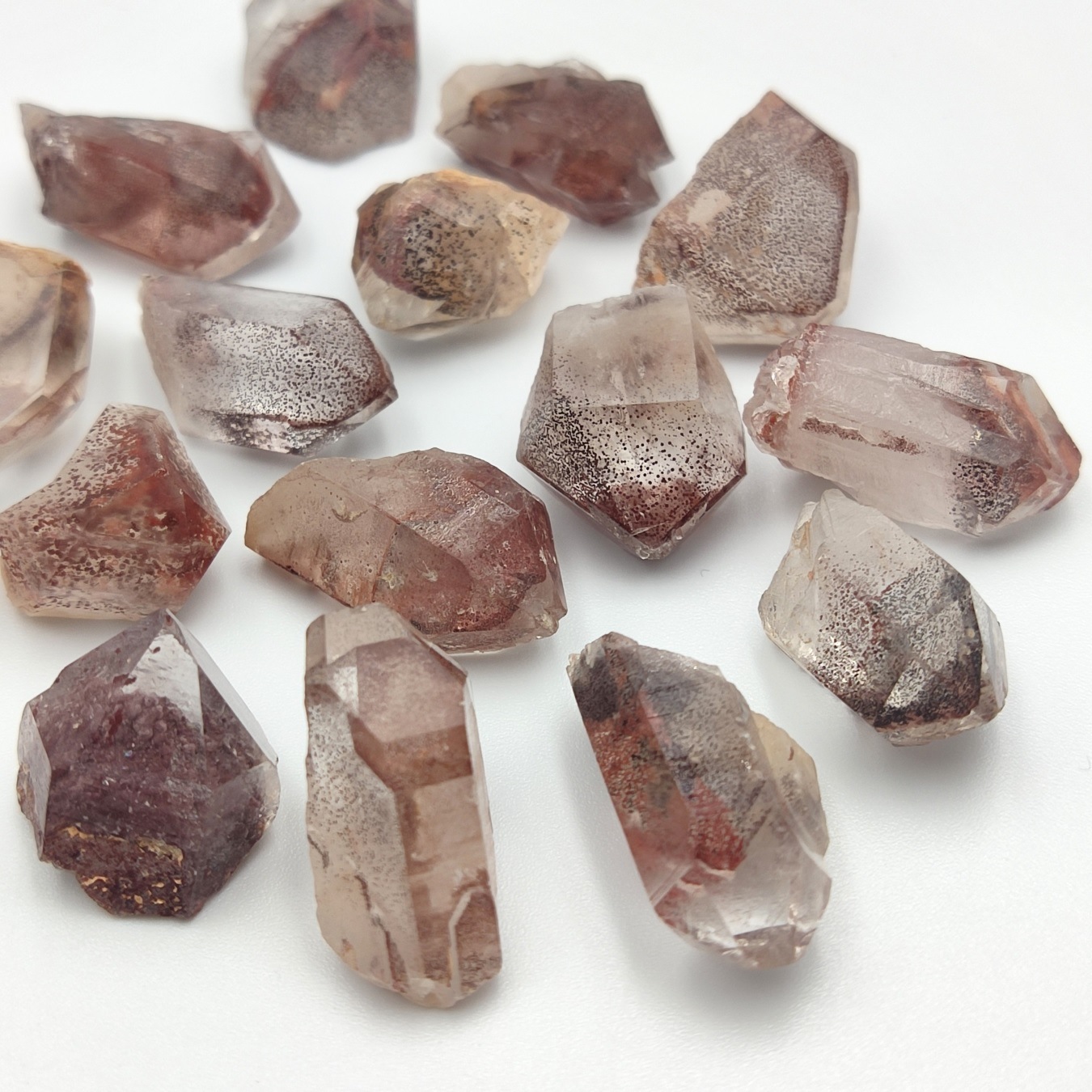 �ڻĤ�鷺�����ۥ���ӥ�����åɥե���ȥ९�����ġ���ˡڥ쥢���͵��Τ���2���������ꡪ�ۡ����С�1�����