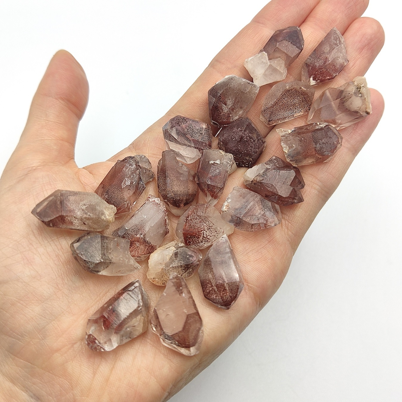 �ڻĤ�鷺�����ۥ���ӥ�����åɥե���ȥ९�����ġ���ˡڥ쥢���͵��Τ���2���������ꡪ�ۡ����С�1�����