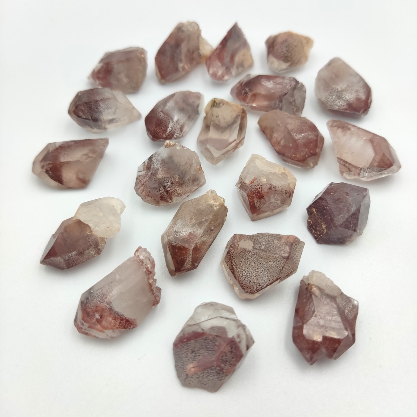 �ڻĤ�鷺�����ۥ���ӥ�����åɥե���ȥ९�����ġ���ˡڥ쥢���͵��Τ���2���������ꡪ�ۡ����С�1�����