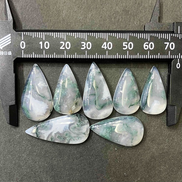 �����ò����ۥ⥹�������ȡ����ܥ����롼�����ɥ��åס�������1γ���
