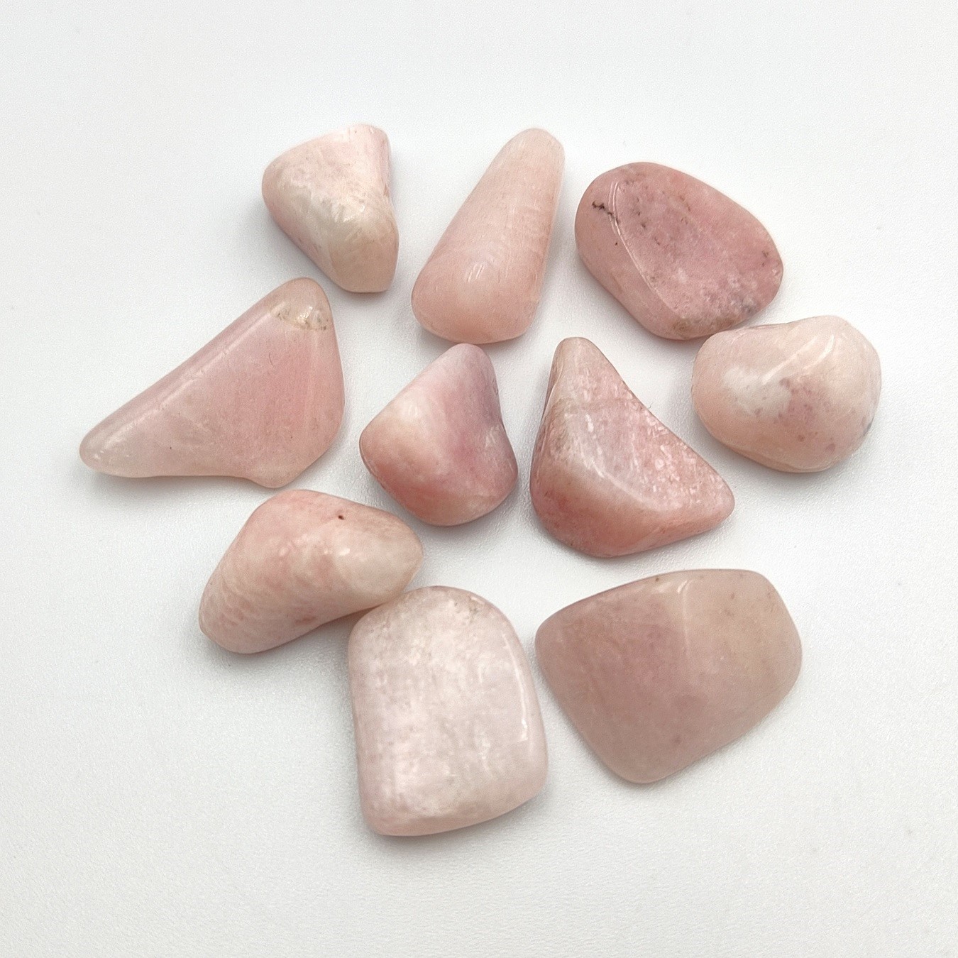 ����͵��ʤΤ��ɲá��ۥԥ󥯥ڥ��饤�ȡ��᤭�С�1γ���