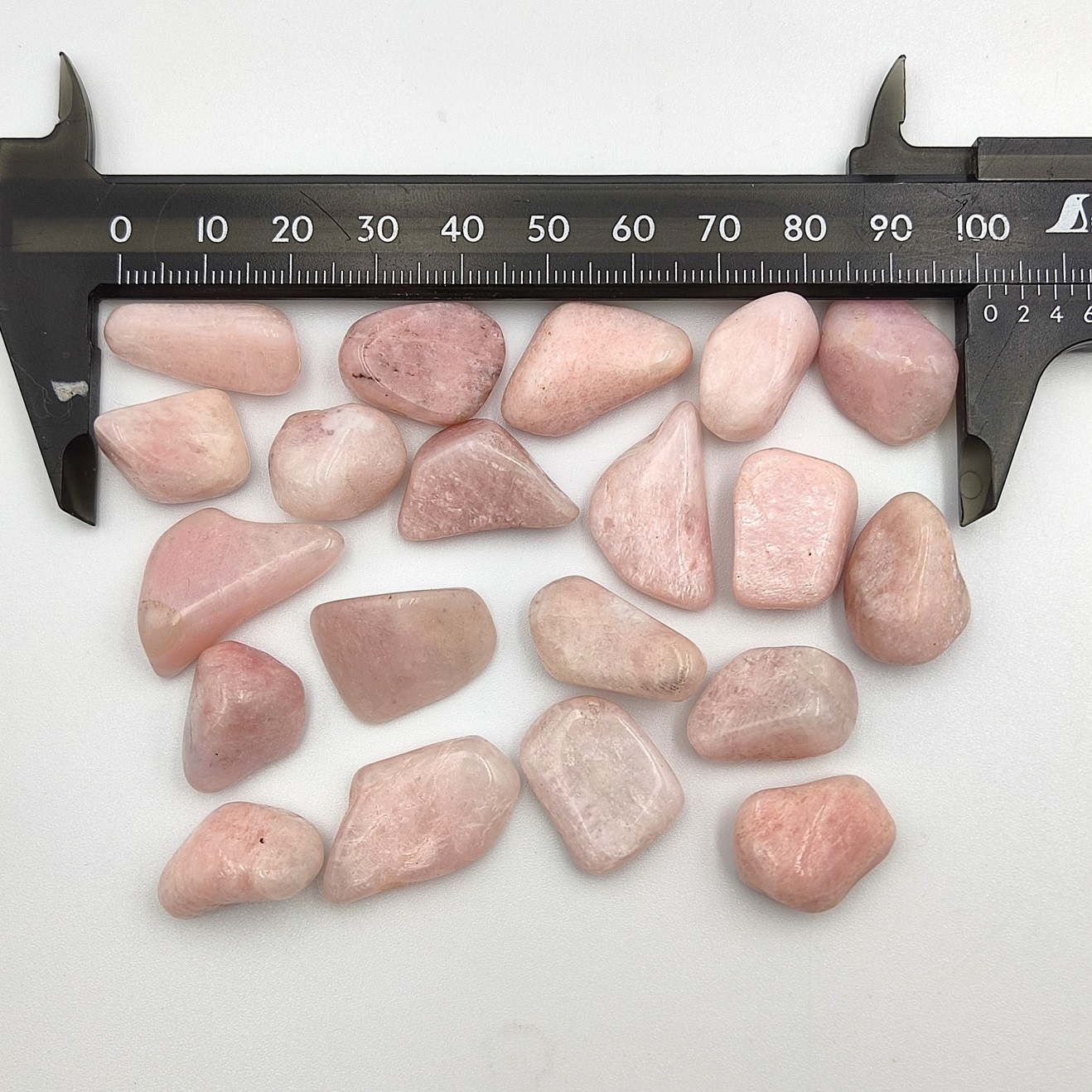 ����͵��ʤΤ��ɲá��ۥԥ󥯥ڥ��饤�ȡ��᤭�С�1γ���