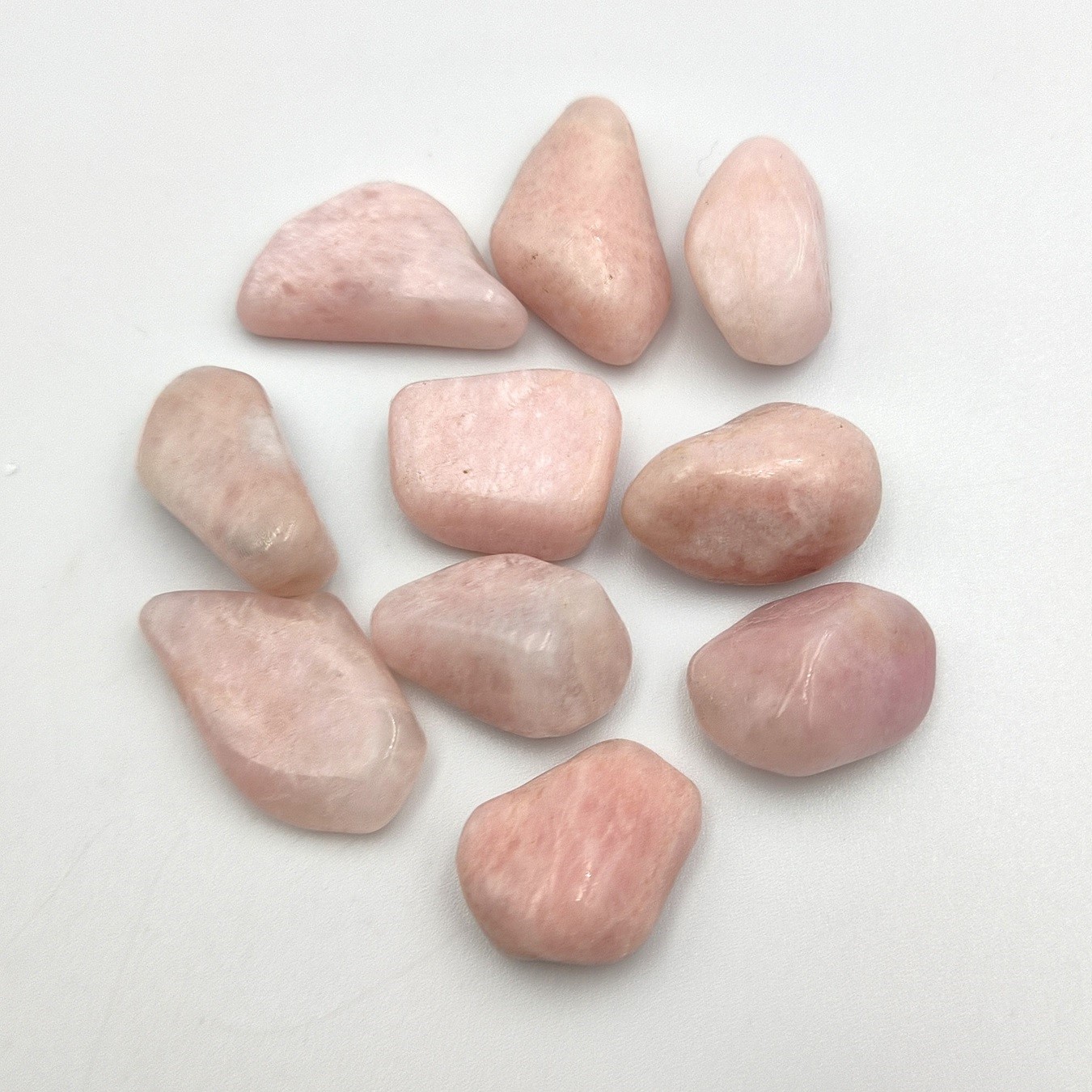 ����͵��ʤΤ��ɲá��ۥԥ󥯥ڥ��饤�ȡ��᤭�С�1γ���