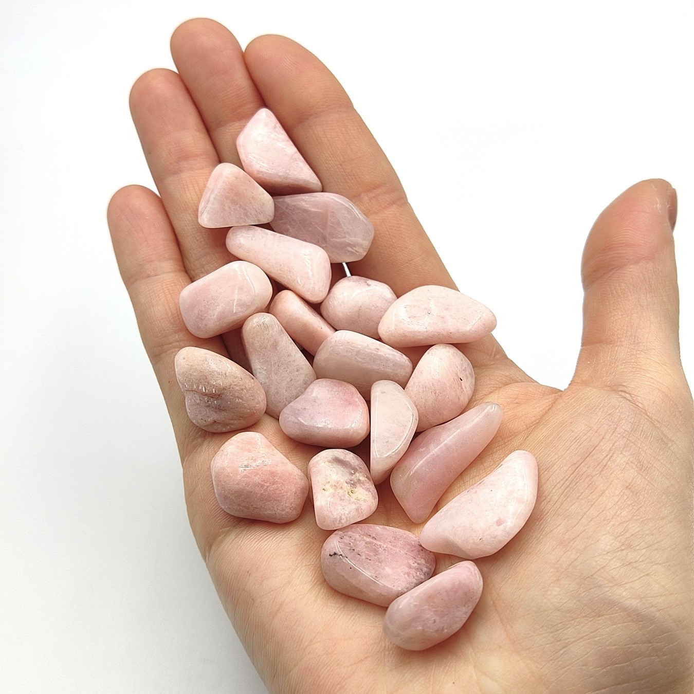 ����͵��ʤΤ��ɲá��ۥԥ󥯥ڥ��饤�ȡ��᤭�С�1γ���