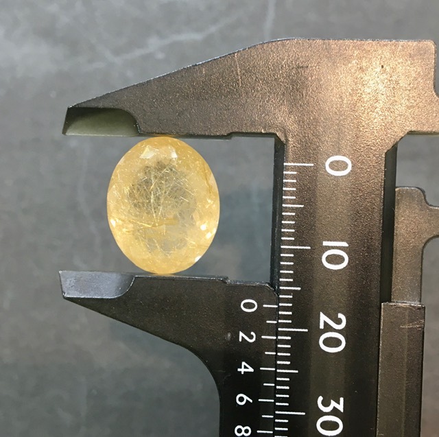 ���ʼ�����륯������ 15.9��������åȥ롼������γ���