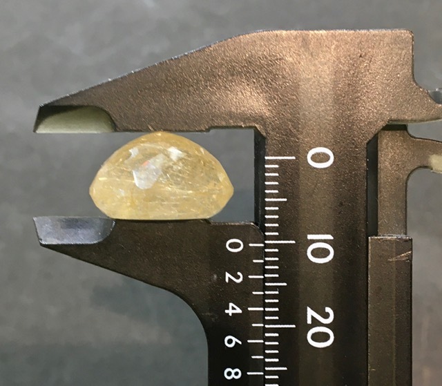 ���ʼ�����륯������ 15.9��������åȥ롼������γ���