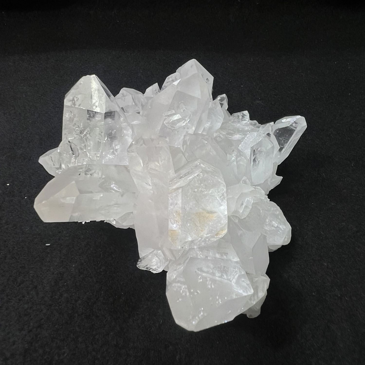 �������󥽡����徽���饹��������479�硡ŹƬƱ������