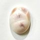 �ȥॽ�ʥ��ȡ����ܥ����ŷ���Х롼������11.9ct