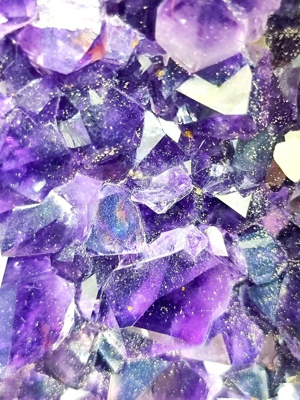 �ڥ������桪��50��OFF����ŹƬƱ�����䡿�ڥ����۷�48.2�ԡ��������᥷���ȥɡ��ࡡ�֥饸�뻺