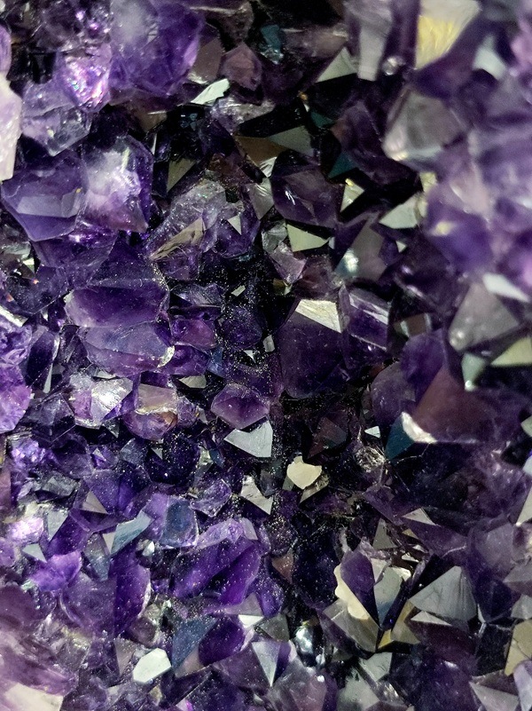 �ڥ������桪��50��OFF����ŹƬƱ�����䡿�ڥ����۷�48.2�ԡ��������᥷���ȥɡ��ࡡ�֥饸�뻺