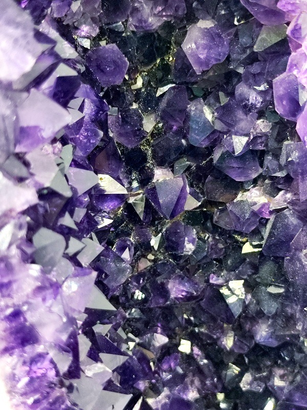 �ڥ������桪��50��OFF����ŹƬƱ�����䡿�ڥ����۷�48.2�ԡ��������᥷���ȥɡ��ࡡ�֥饸�뻺