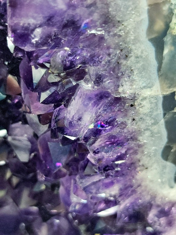 �ڥ������桪��50��OFF����ŹƬƱ�����䡿�ڥ����۷�48.2�ԡ��������᥷���ȥɡ��ࡡ�֥饸�뻺