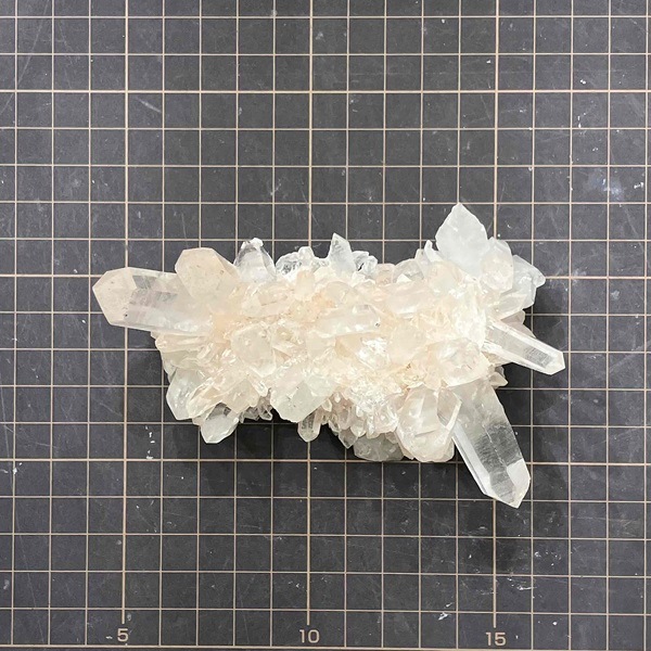 �ޥ˥���󻺿徽���饹��������239�硡