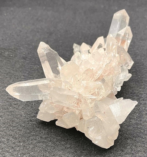 �ޥ˥���󻺿徽���饹��������239�硡