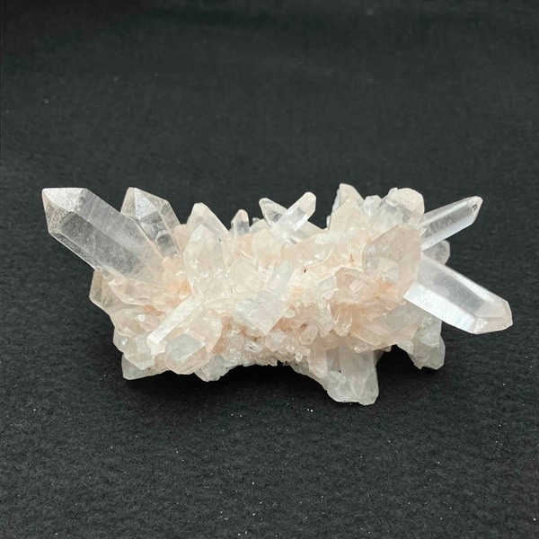 �ޥ˥���󻺿徽���饹��������239�硡