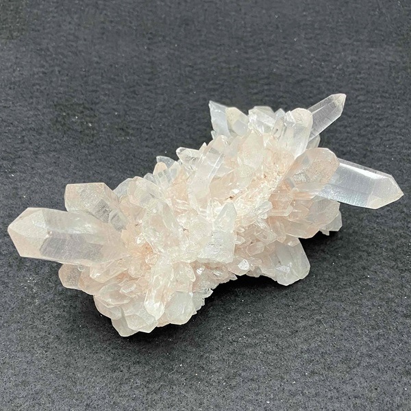 �ޥ˥���󻺿徽���饹��������239�硡