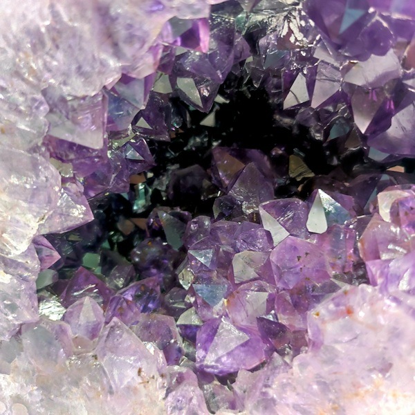 �ڤĤ����о졪50��OFF����6.1kg ���᥷���ȥɡ��ࡡ�֥饸�뻺