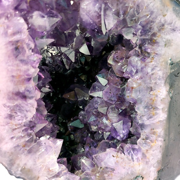 �ڤĤ����о졪50��OFF����6.1kg ���᥷���ȥɡ��ࡡ�֥饸�뻺