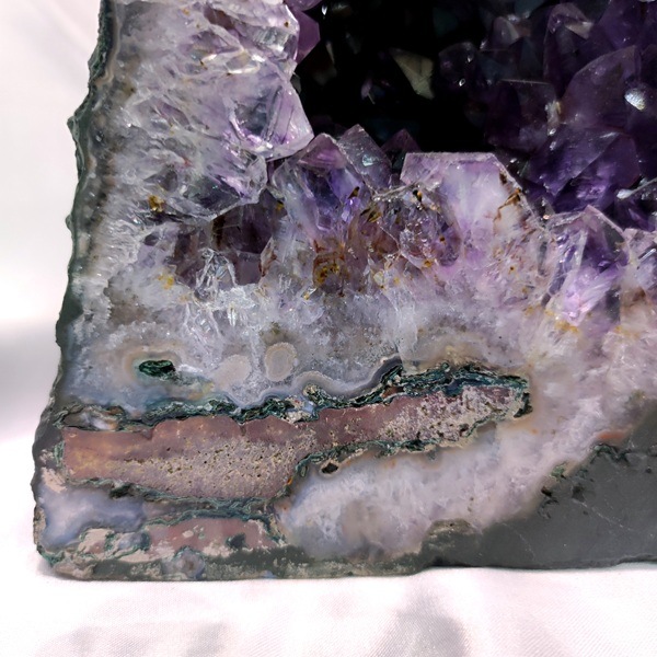 �ڤĤ����о졪50��OFF����6.1kg ���᥷���ȥɡ��ࡡ�֥饸�뻺