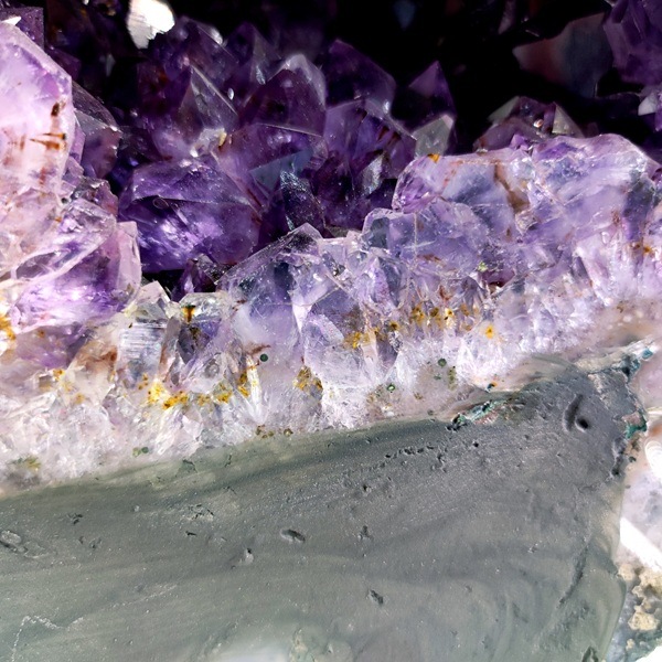 �ڤĤ����о졪50��OFF����6.1kg ���᥷���ȥɡ��ࡡ�֥饸�뻺