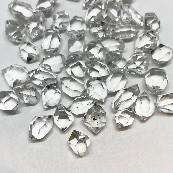 ����͵��Τ�������١��ۥϡ����ޡ���������ɥ�������   ��������1γ��ꡡ