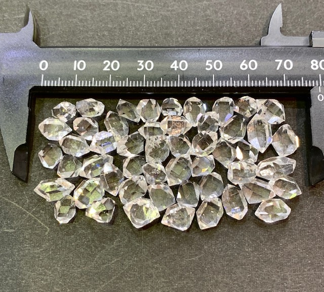 ����͵��Τ�������١��ۥϡ����ޡ���������ɥ�������   ��������1γ��ꡡ