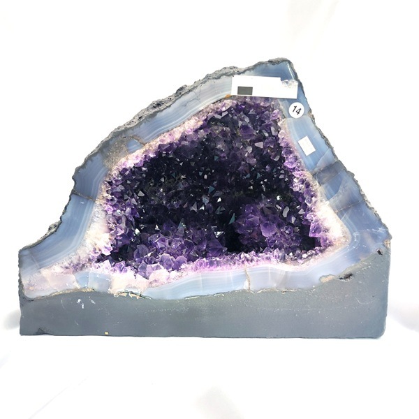 �ڴ�����顪��8kg�����᥷���ȥɡ��ࡡ�֥饸�뻺