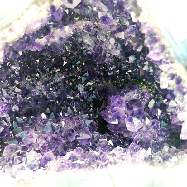 �ڴ�����顪��8kg�����᥷���ȥɡ��ࡡ�֥饸�뻺