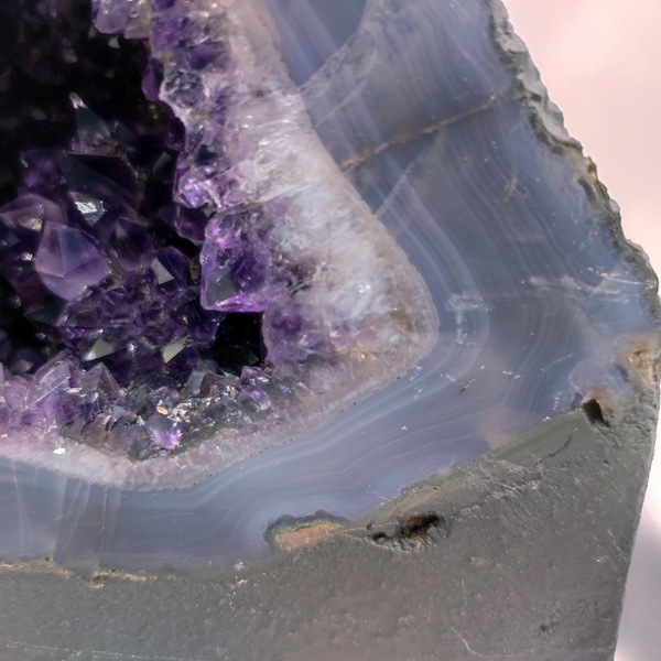 �ڴ�����顪��8kg�����᥷���ȥɡ��ࡡ�֥饸�뻺