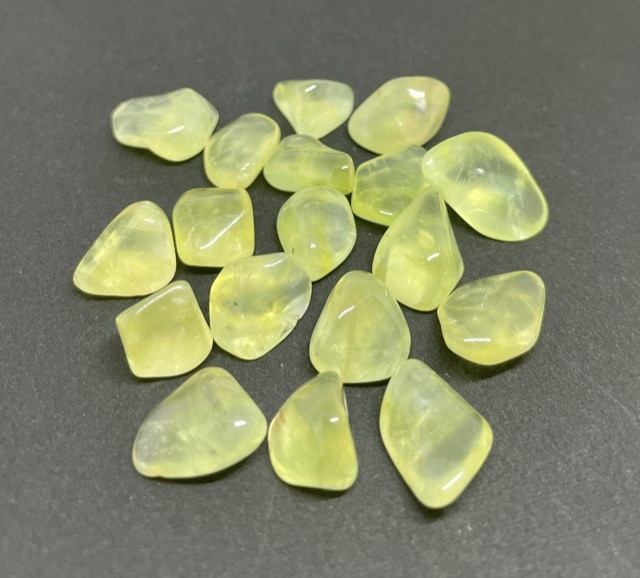 �ڻĤ�鷺�����ۥ�����ǥ�ץ�ʥ��ȡ��᤭�С�1γ���