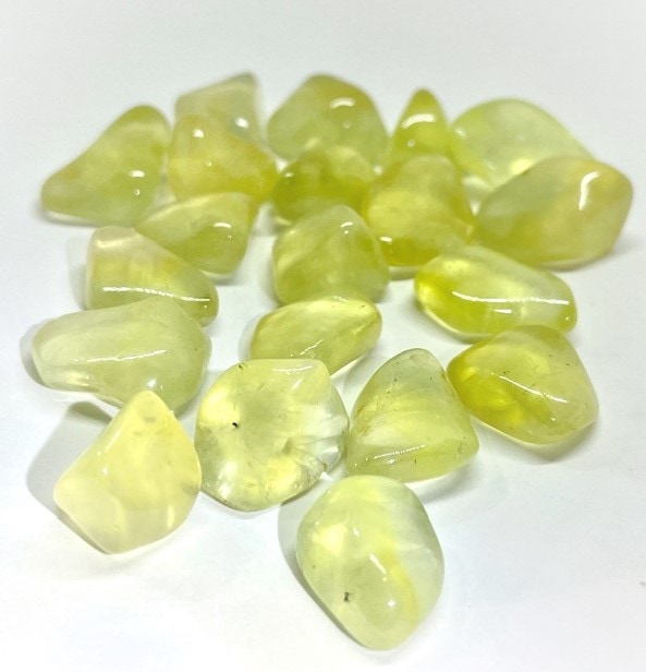 �ڻĤ�鷺�����ۥ�����ǥ�ץ�ʥ��ȡ��᤭�С�1γ���