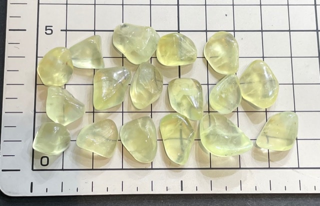 �ڻĤ�鷺�����ۥ�����ǥ�ץ�ʥ��ȡ��᤭�С�1γ���