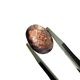 饤ȥ󥹥ȡ󡡥åȥ롼Х롡6.5ct1ʪ