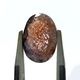饤ȥ󥹥ȡ󡡥åȥ롼Х롡6.5ct1ʪ