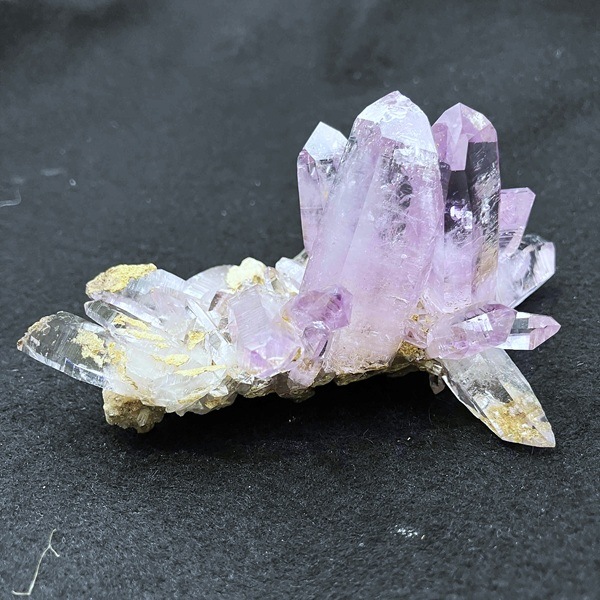 ʡۥ٥饯륹᥸ȡС饹144gᥭŹƱ